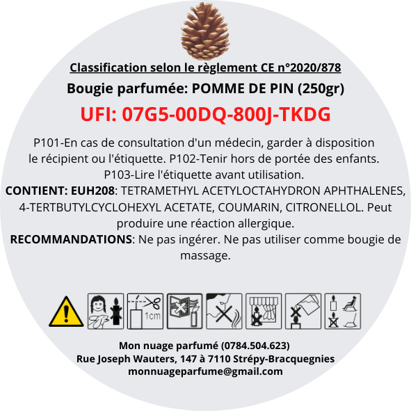 Bougie gourmande "POMME DE PIN"