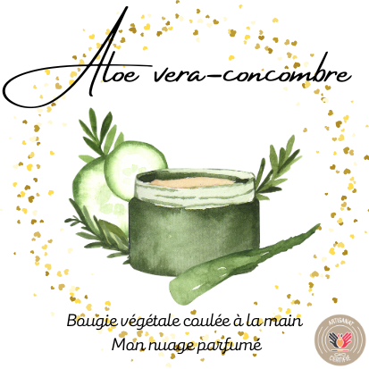 ALOE VERA - CONCOMBRE
