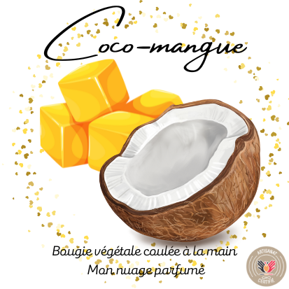 Fondant individuel "COCO-MANGUE"