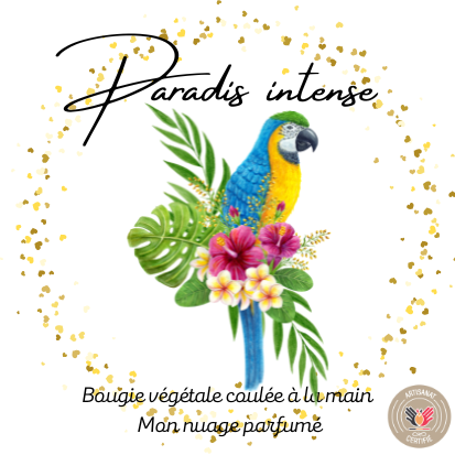 PARADIS INTENSE