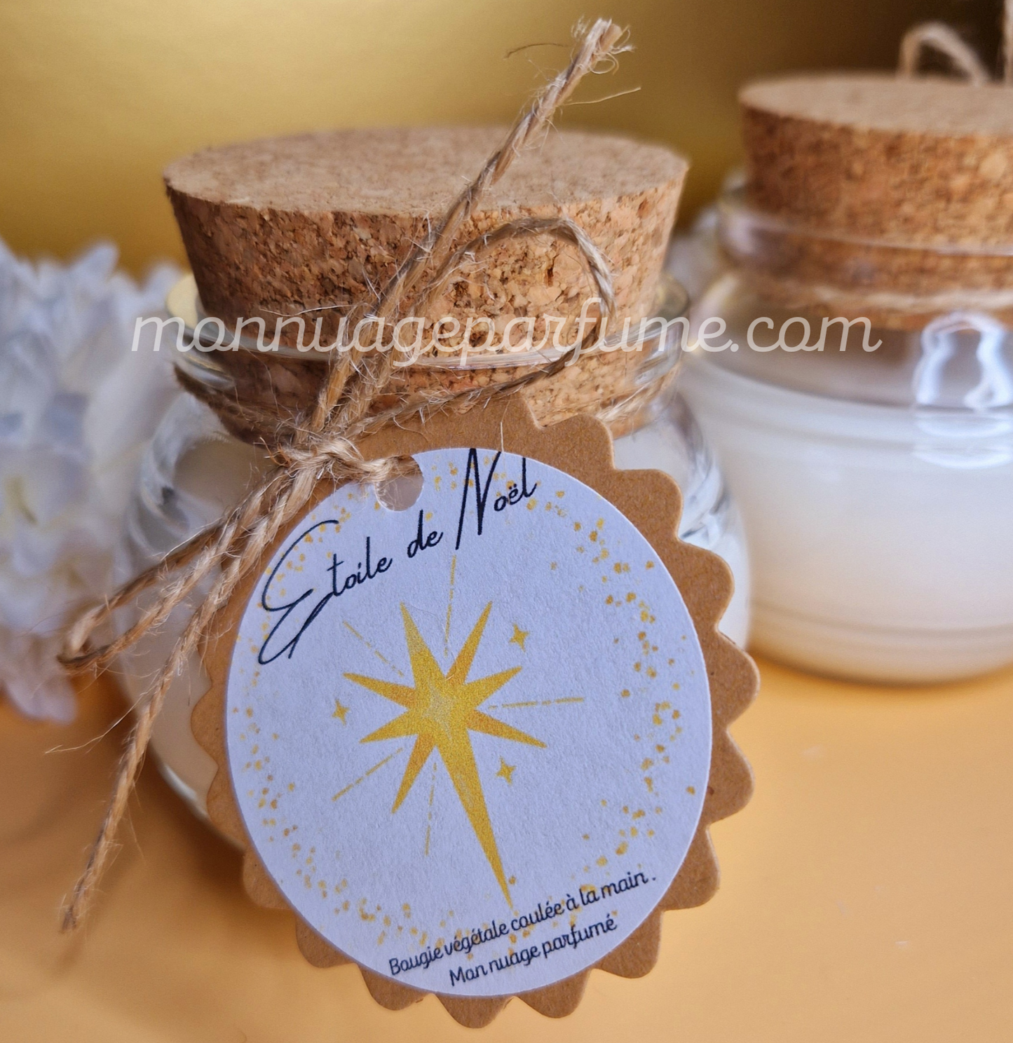 ETOILE DE NOËL (gamme Noël)