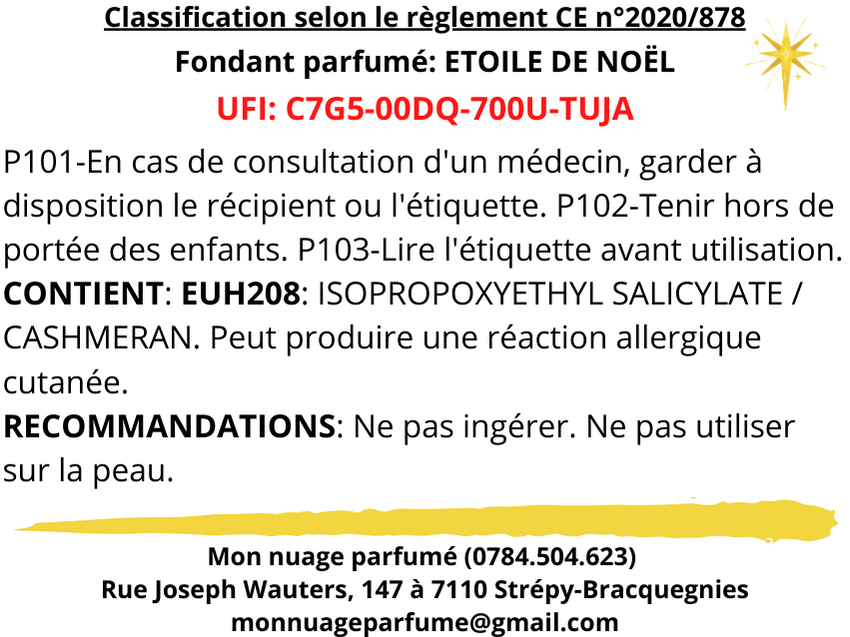 Fondant individuel "ETOILE DE NOËL"