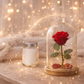 🕯️ Bougie parfumée classique - Histoire éternelle