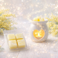 ✨ Fondant clamshell – Mimosa