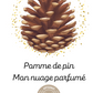 BRUME TEXTILE - POMME DE PIN (250ML)