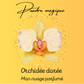 Orchidée dorée