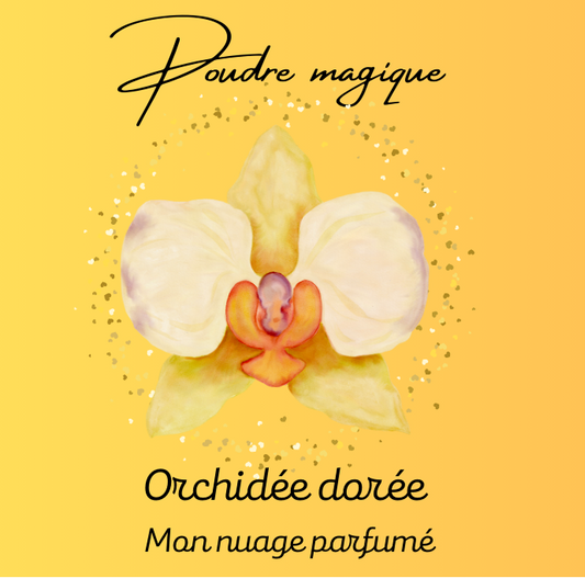 Orchidée dorée