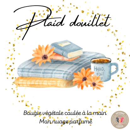 PLAID DOUILLET