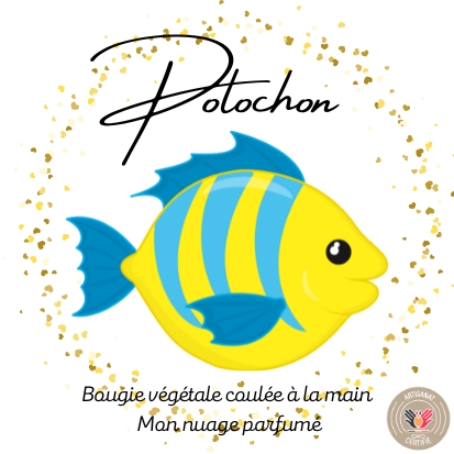 Fondant individuel "POLOCHON"