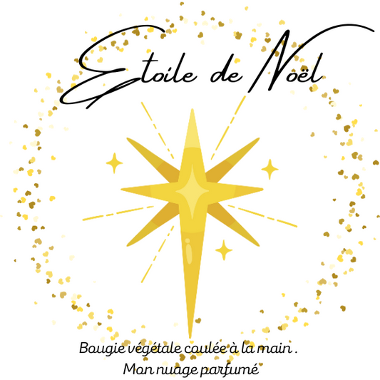 ETOILE DE NOËL