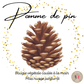 POMME DE PIN