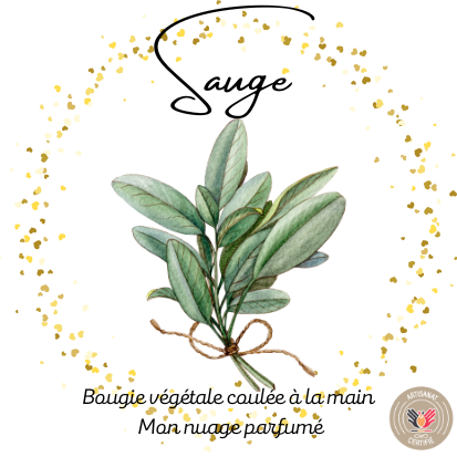 SAUGE