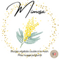 MIMOSA (gamme fleurie/exotique)