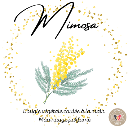 MIMOSA (gamme fleurie/exotique)