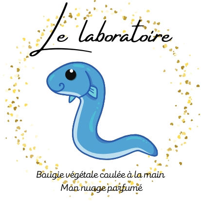 Fondant individuel "Le laboratoire"