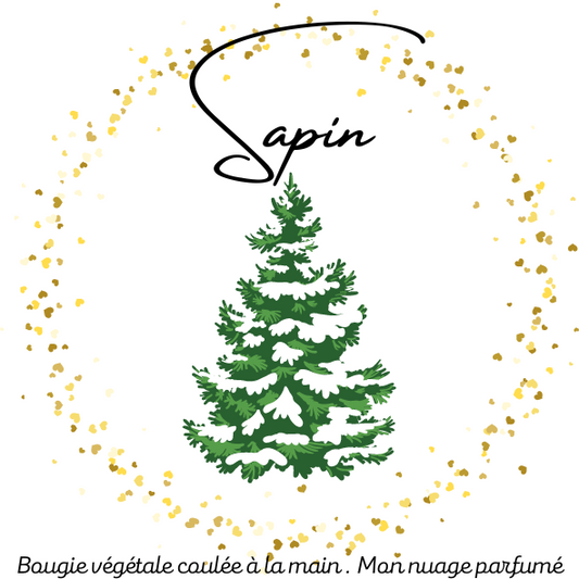 SAPIN