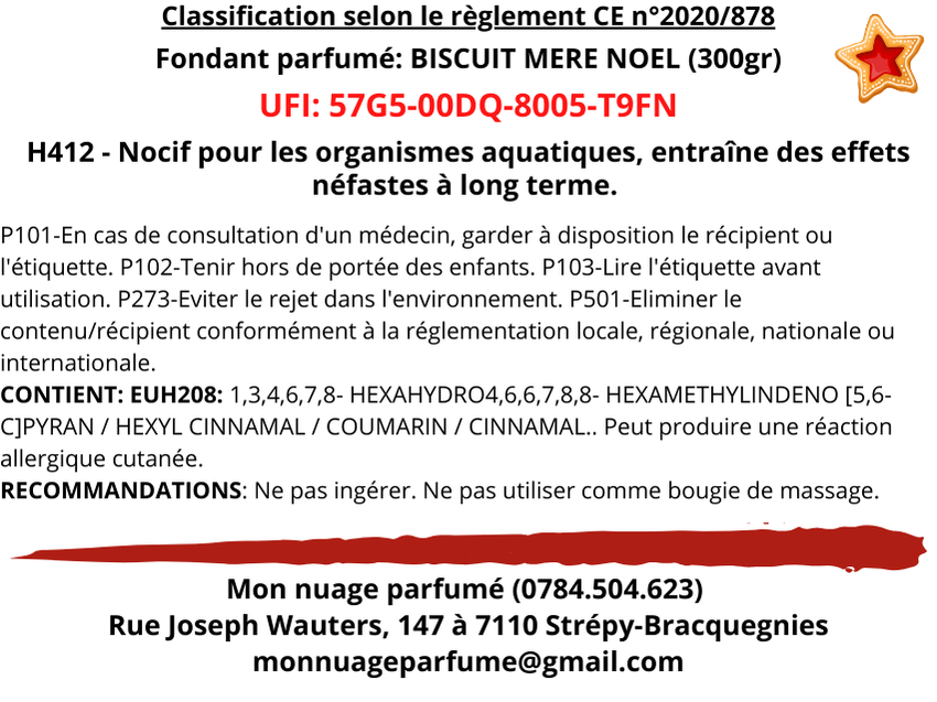 Fondant individuel "Biscuit de Mère Noël"