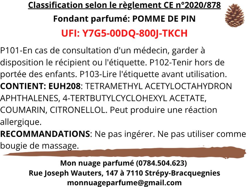 Fondant individuel "POMME DE PIN"