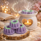 Fondant parfumé individuel - Ailes de printemps