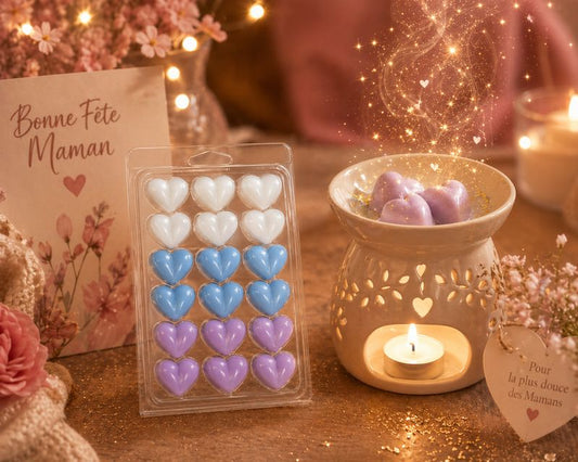 Clamshell Fondants Parfumés – Trio de Fragrances