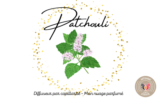 DIFFUSEUR PAR CAPILLARITE - PATCHOULI