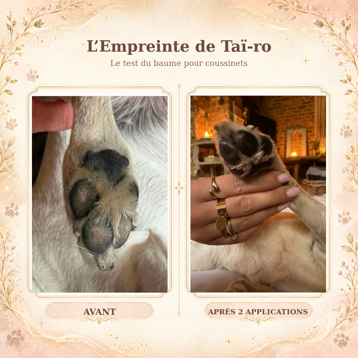 L’Empreinte de Taï-ro – Baume nourrissant pour coussinets, truffe et oreilles
