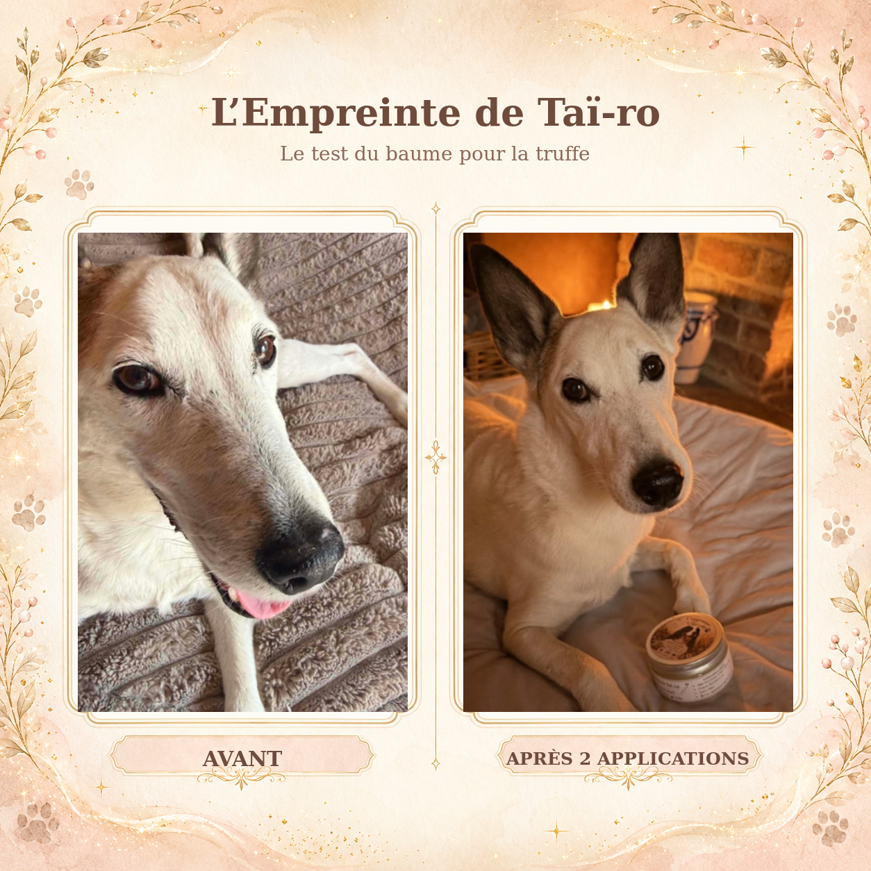L’Empreinte de Taï-ro – Baume nourrissant pour coussinets, truffe et oreilles